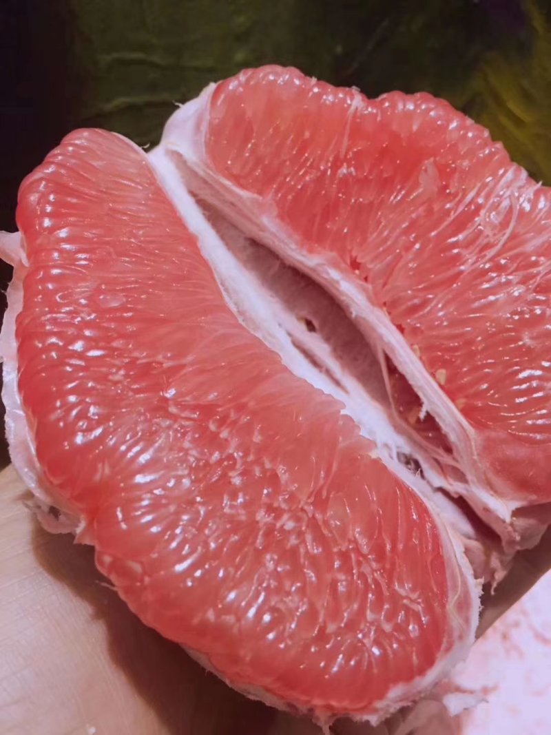 正宗平和三红蜜柚苗(1年苗)60厘米起欢迎来电咨询