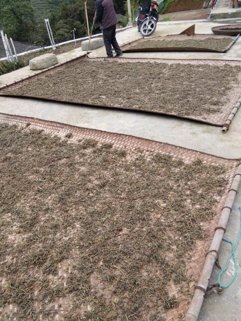 纯手工老鹰茶