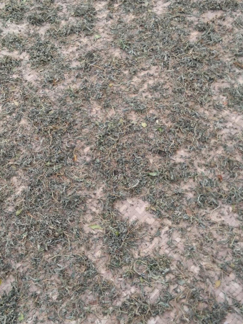 纯手工老鹰茶