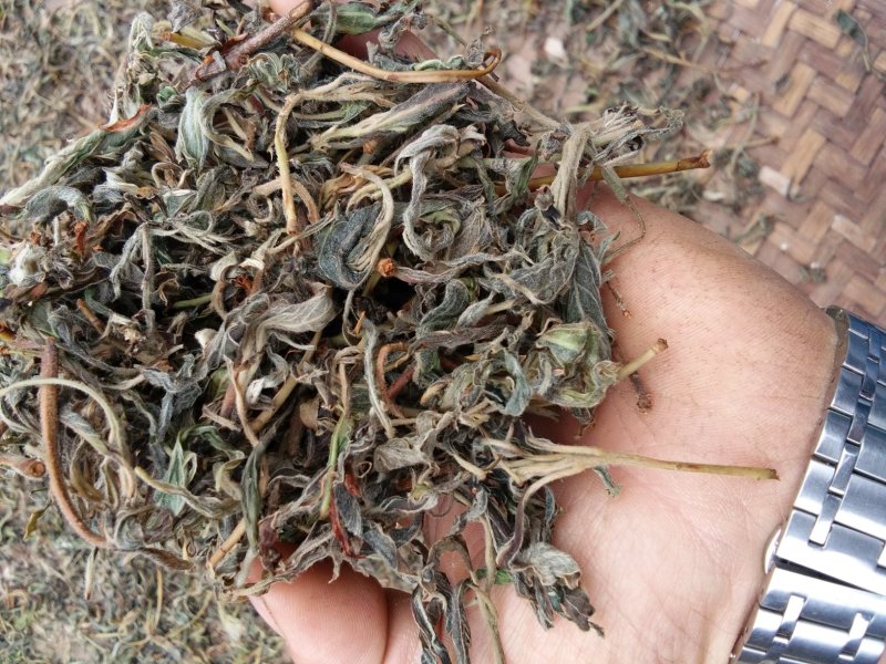 纯手工老鹰茶