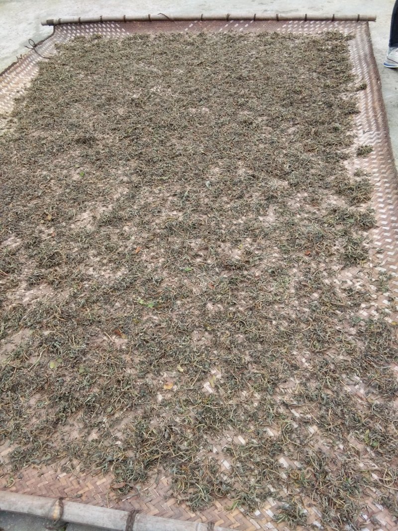 纯手工老鹰茶
