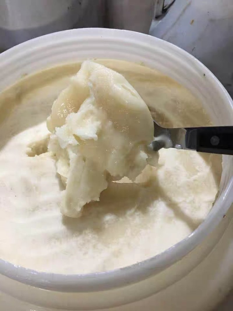 2022年油菜花蜜纯蜂蜜成熟结晶蜂蜜包邮农家好蜜