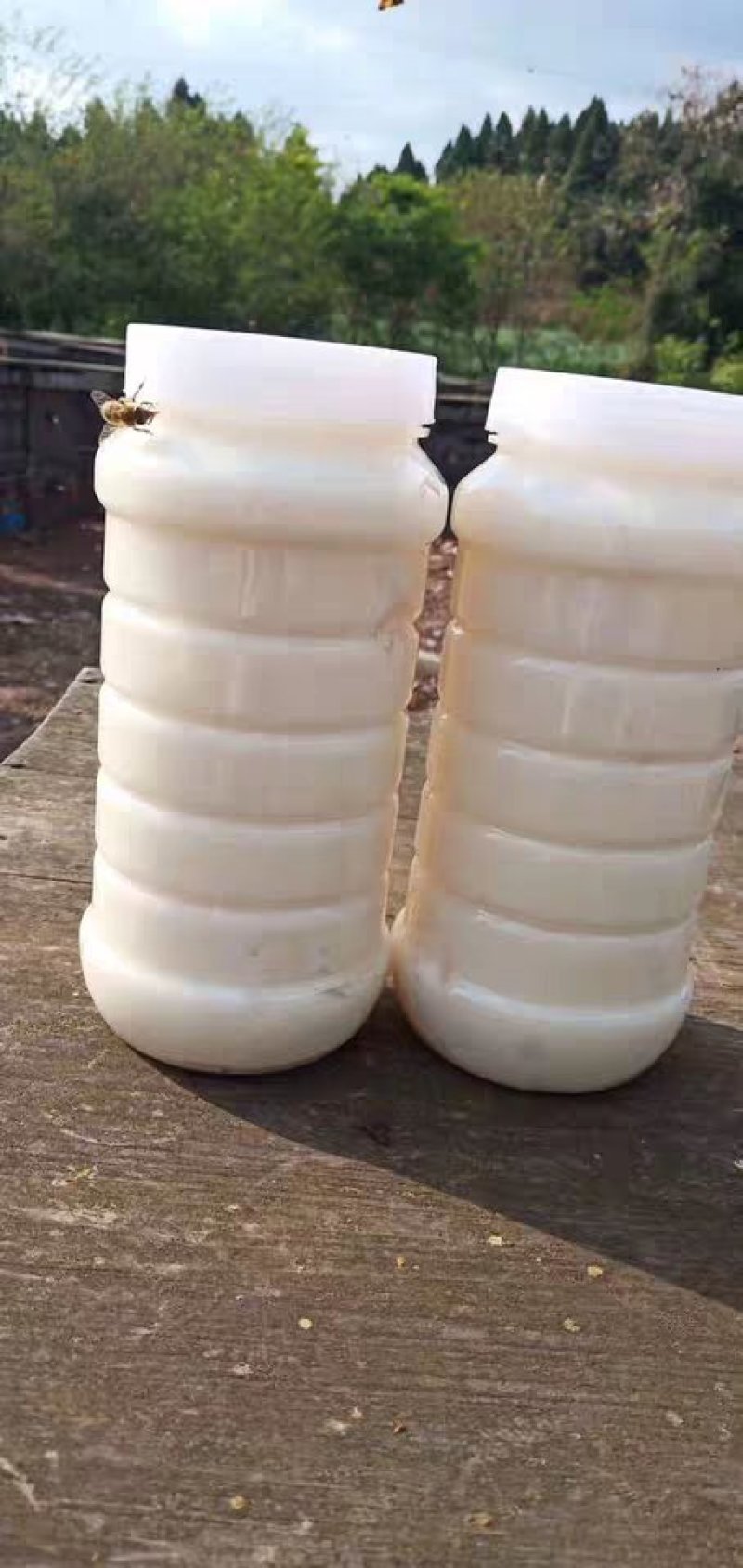 2022年油菜花蜜纯蜂蜜成熟结晶蜂蜜包邮农家好蜜