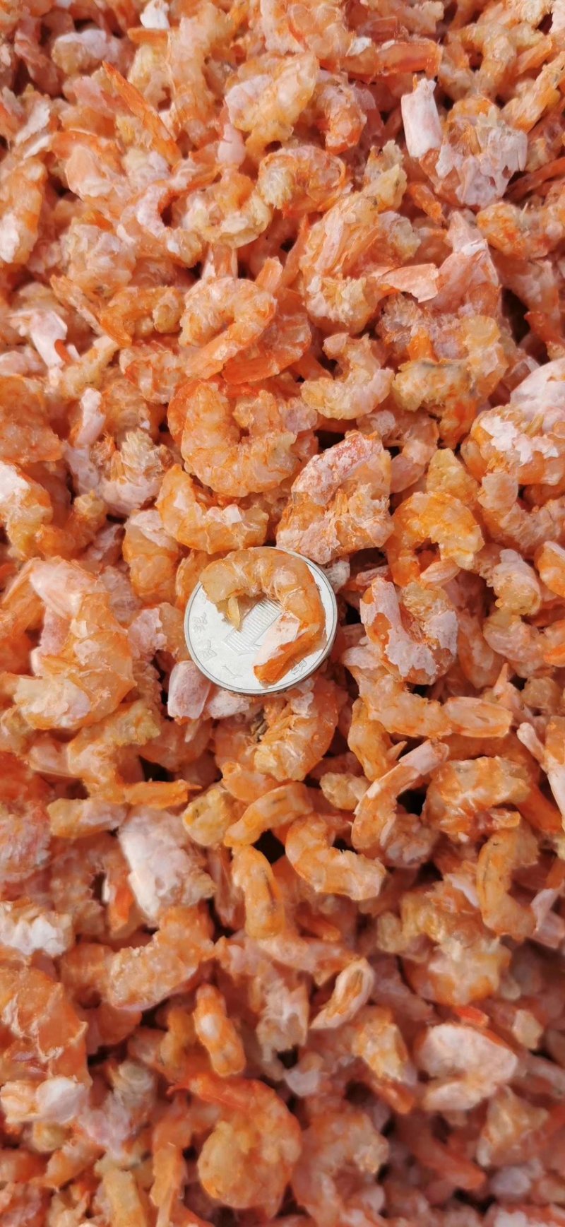 海米