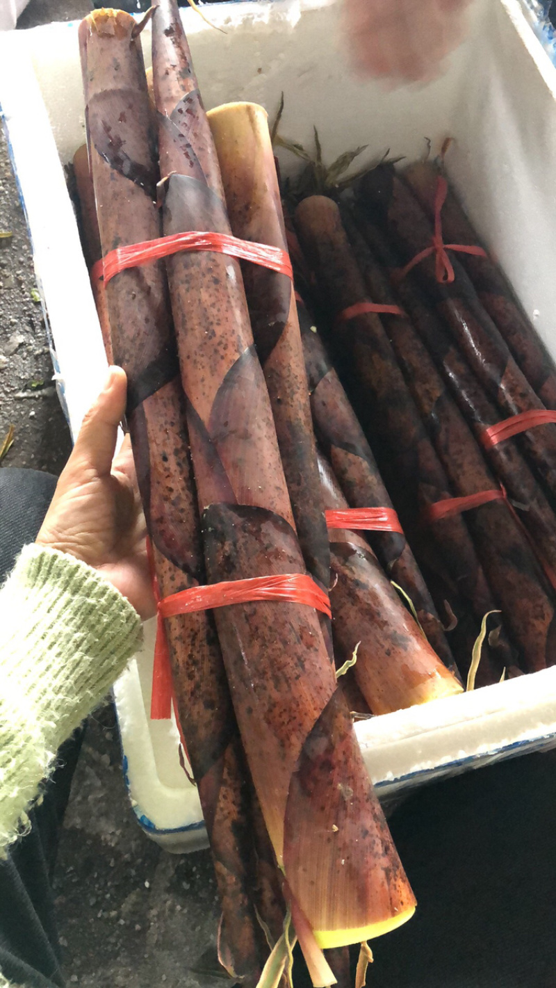 酸笋丝、白丝、水煮笋、福建漳州毛竹产业链