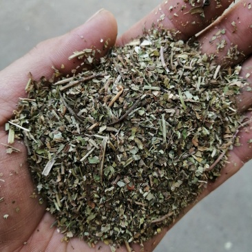 花生秧碎叶：蛋白质含量20%左右，适合所有的动物，