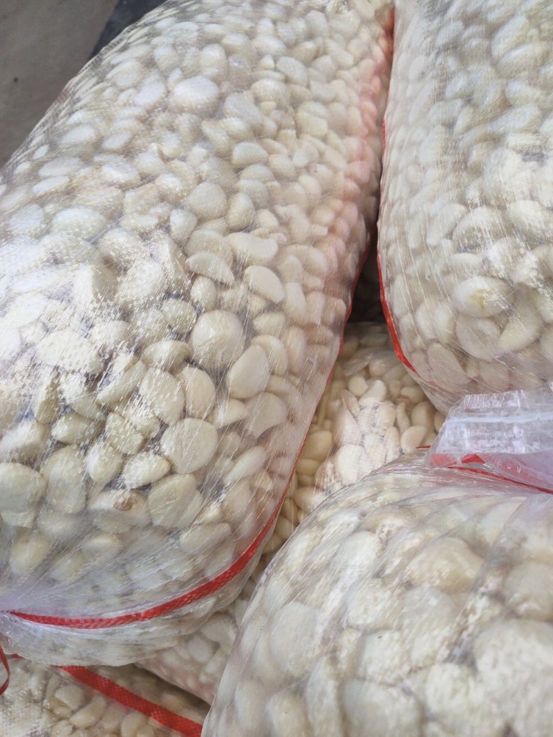 优质无芽保鲜蒜米双重筛选基地直供可视频看货选货