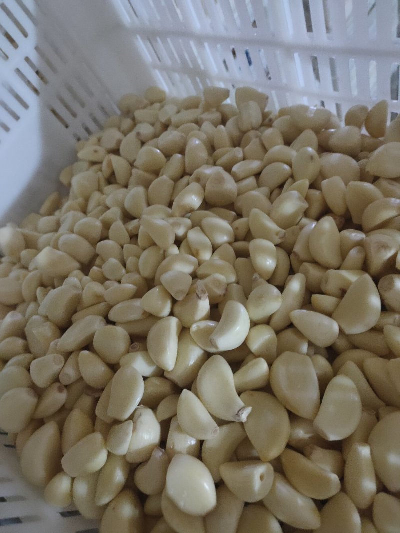 优质杂交机打精品小包装保鲜蒜米产地直供！