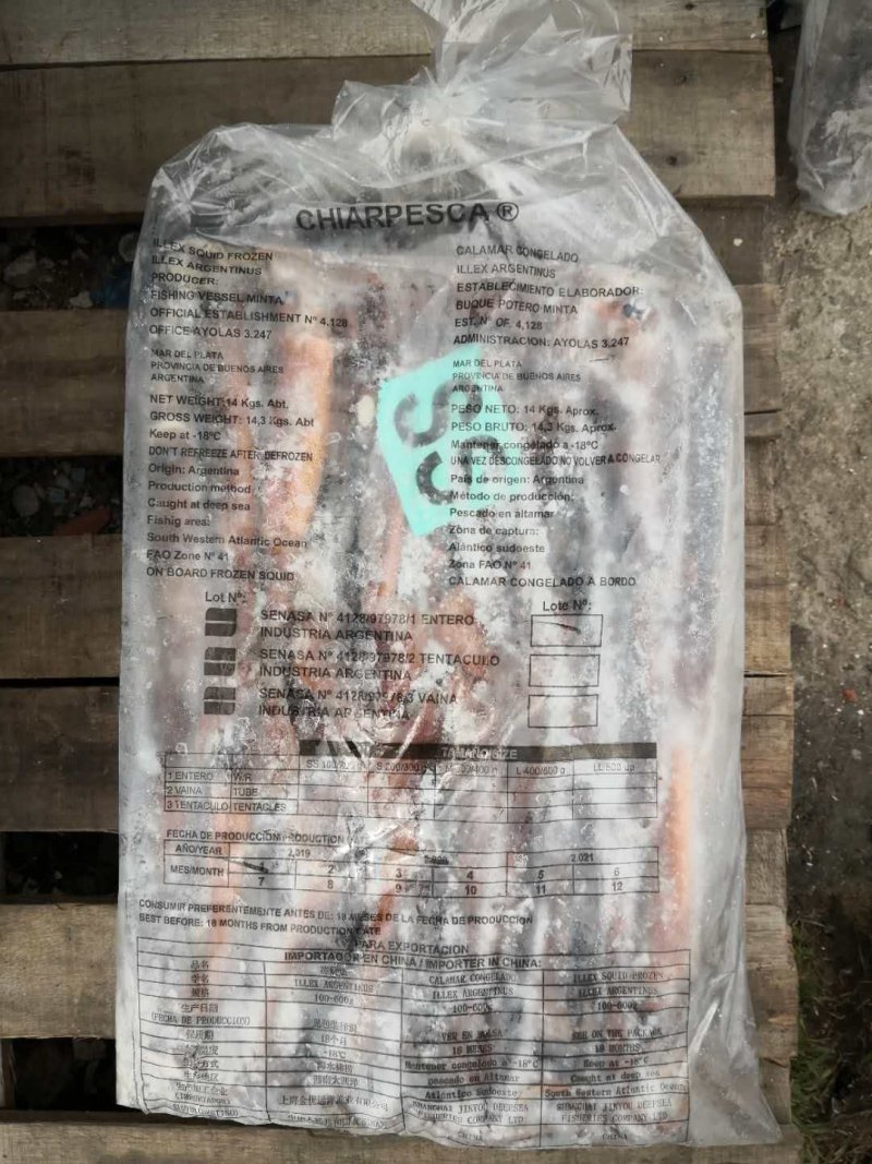 阿根廷鱿鱼，勾钓，全规格现货。