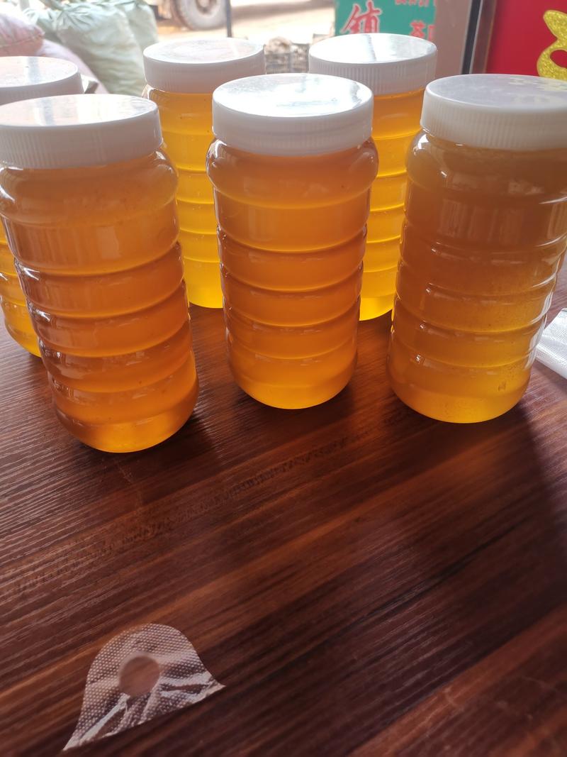 云南普洱江城野生树洞里蜂蜜甜量大价格优惠批发零售