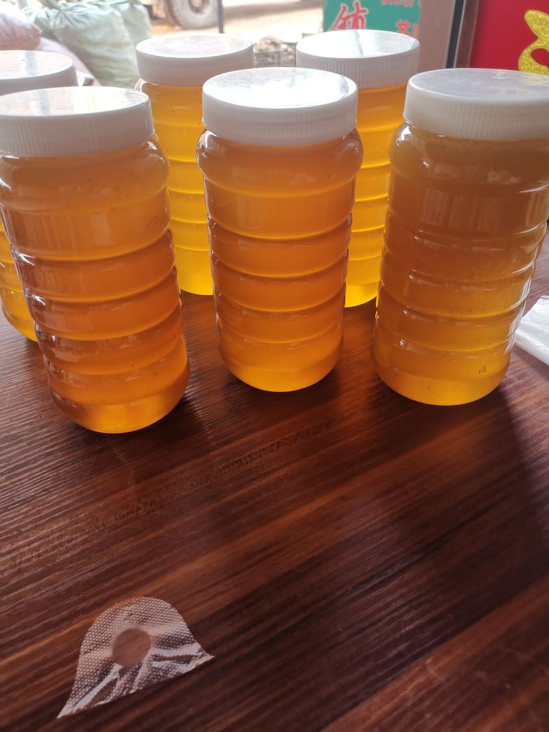 云南普洱江城野生树洞里蜂蜜甜量大价格优惠批发零售