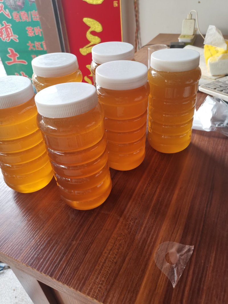 云南普洱江城野生树洞里蜂蜜甜量大价格优惠批发零售