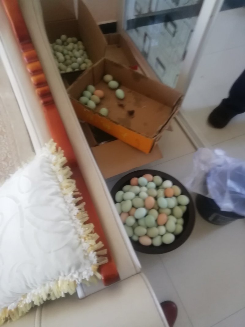 土鸡蛋