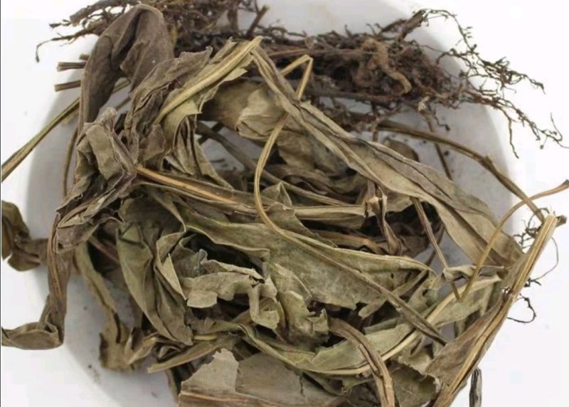 七星剑,七星草，道地药材，质优价实，品质保证，药典标准
