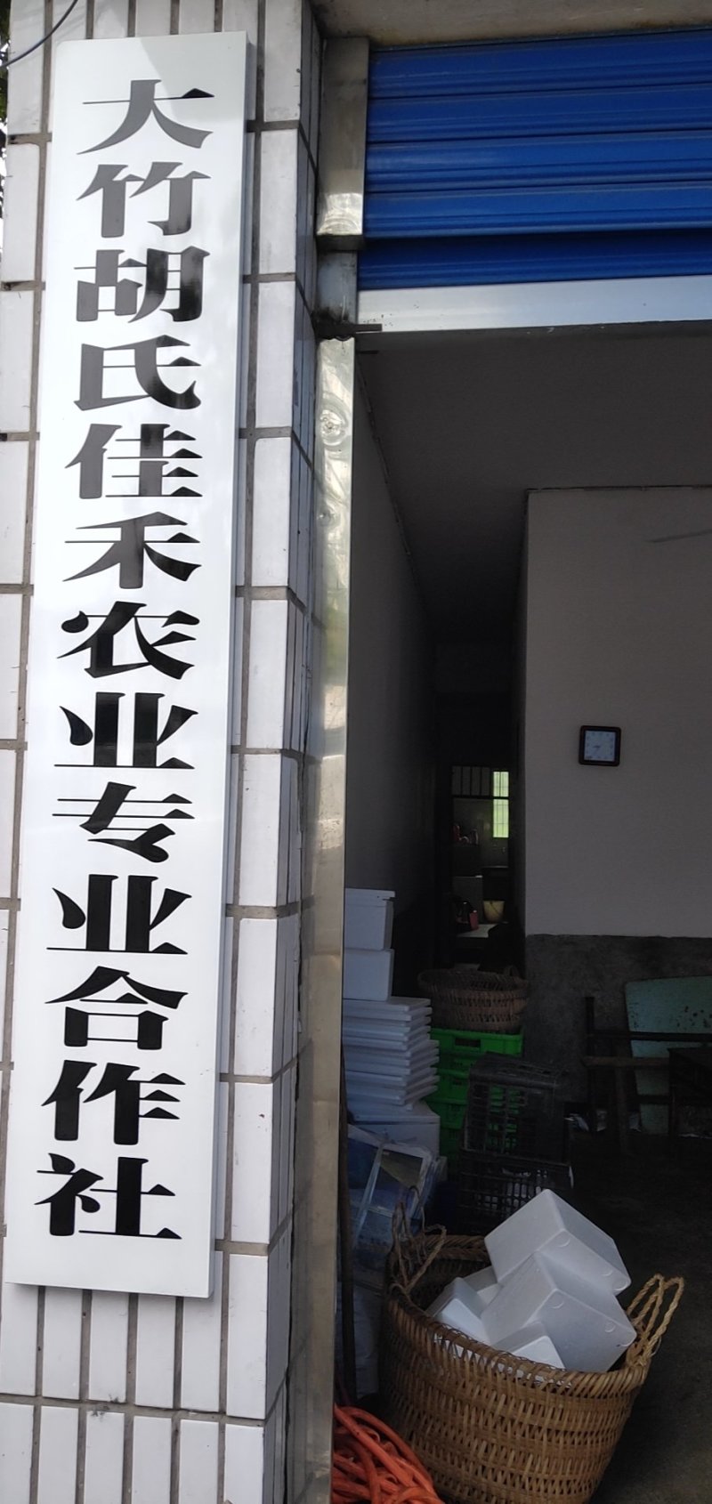 四川香椿芽大竹县红香椿芽本地一手货源包装运输一龙服务