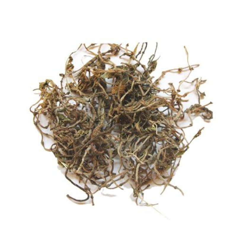 垂盆草，常年批发供应冷背中药材垂盆草