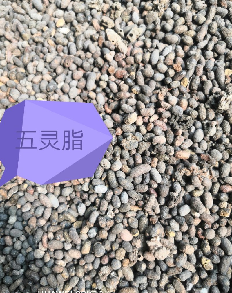 纯天生五灵脂，欢迎定购
