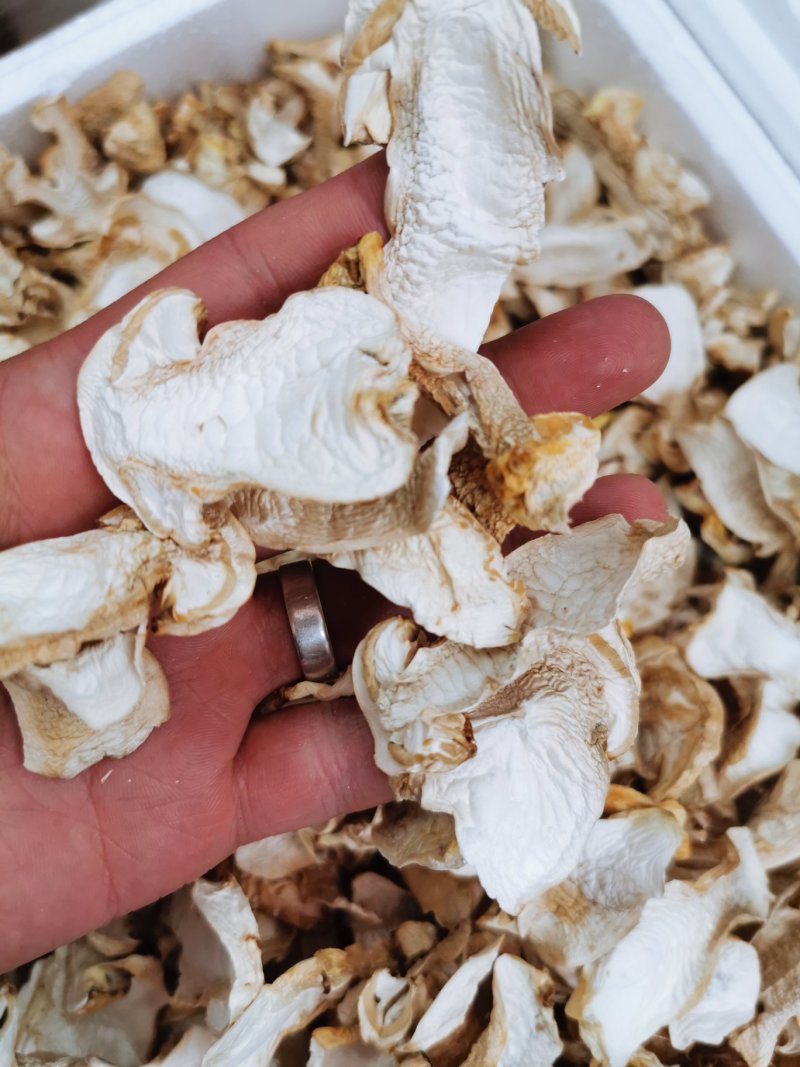 新鲜仿野生种植姬松茸代客一件代发量大从优