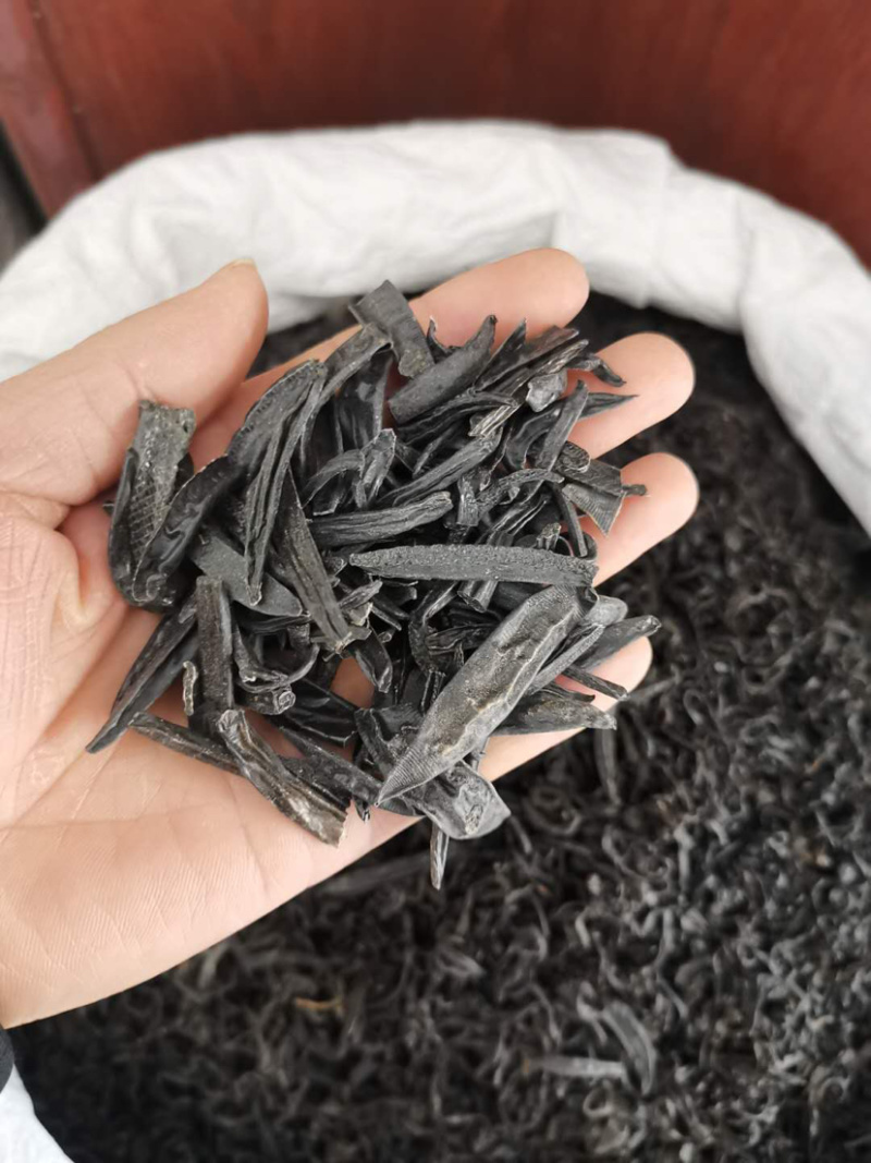 水蛭吊杆清水火柳叶水蛭各种中药材批发产地直销
