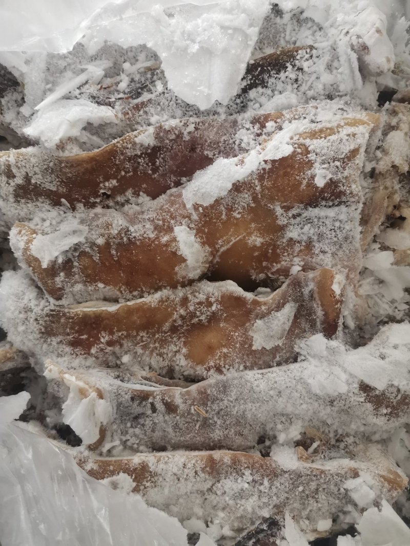 南通龙回首食品有限公司