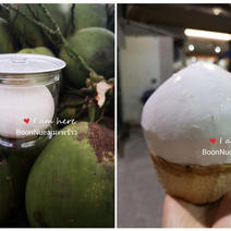 供应去壳泰国椰皇蛋、椰子蛋、椰子球、特色农产品