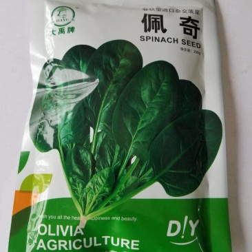菠菜种子大禹佩奇丹麦进口品种圆叶
