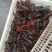 大青规格好质量好6789规格齐全提质好