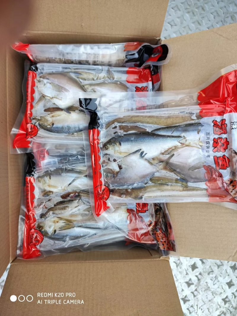 海杂鱼，漂亮的，处理去干净的三去鱼。。。。