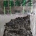 干海带头:深海40公分大海带头.宽厚无杂.压缩铺平展开