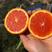 脐橙，湖北秭归县脐橙产地热销！品种多支持视频看货！