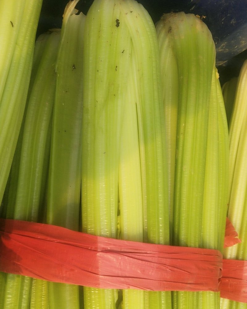 芹菜大量上市中
