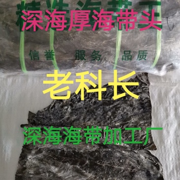 干海带头:深海40公分大海带头.宽厚无杂.压缩铺平展开