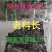 干海带头:深海40公分大海带头.宽厚无杂.压缩铺平展开