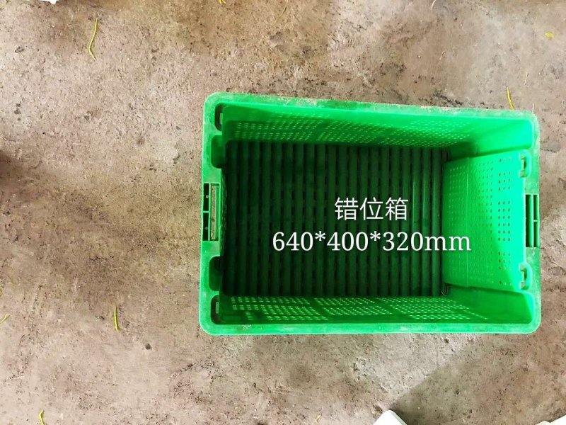 豆芽专用框错位框厂家直销