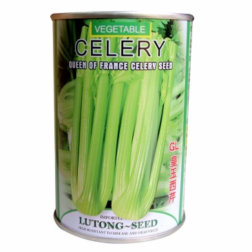 荷兰进口芹菜种子GL皇玉西芹100克嫩芹菜产量高品质好