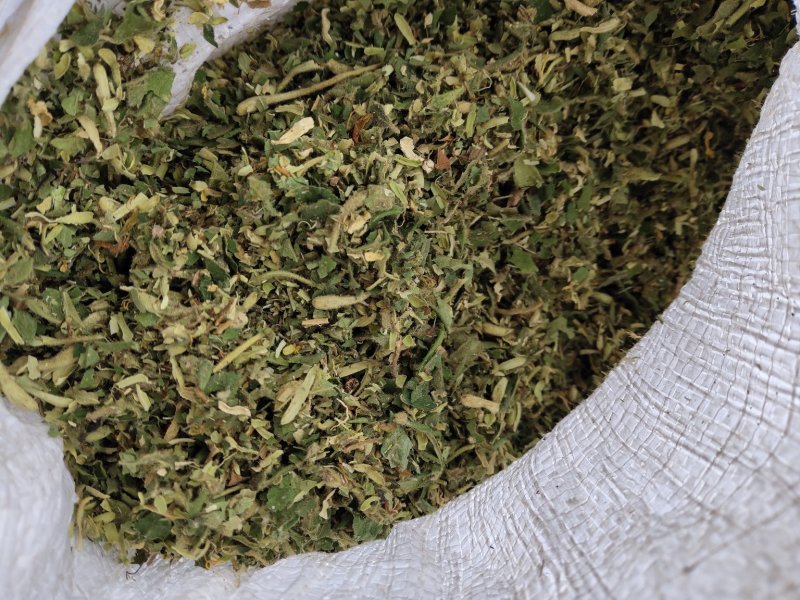 金银花沫子双花沫子不包邮费