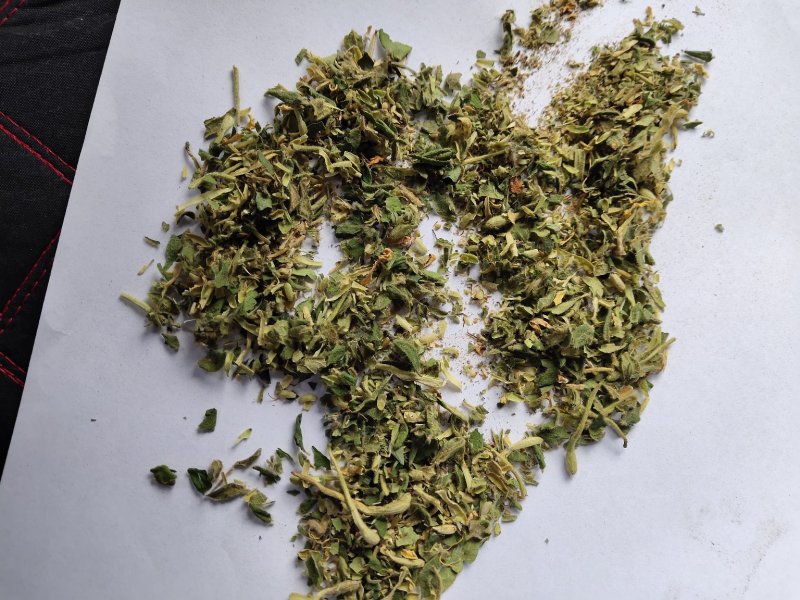 金银花沫子双花沫子不包邮费