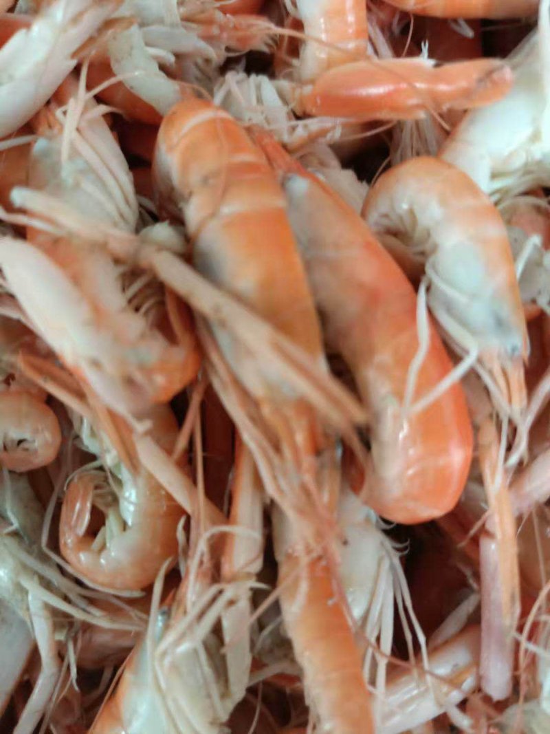 狗虾，鳌虾，大爪虾活虾加工即食，鲜度好，不咸