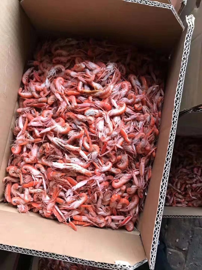 狗虾，鳌虾，大爪虾活虾加工即食，鲜度好，不咸