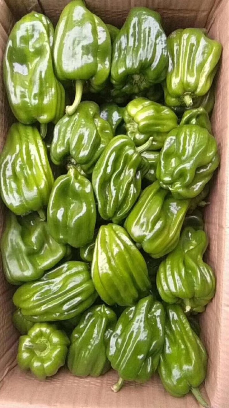 麻辣椒麻椒