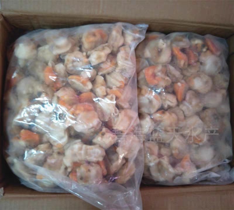 鲜活冷冻新鲜扇贝肉毛蛤肉扇贝超大极速发货去沙包不去沙包