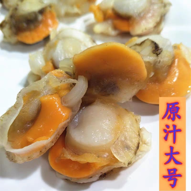鲜活冷冻新鲜扇贝肉毛蛤肉扇贝超大极速发货去沙包不去沙包