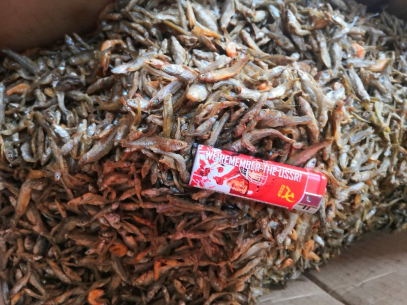 干麦穗鱼