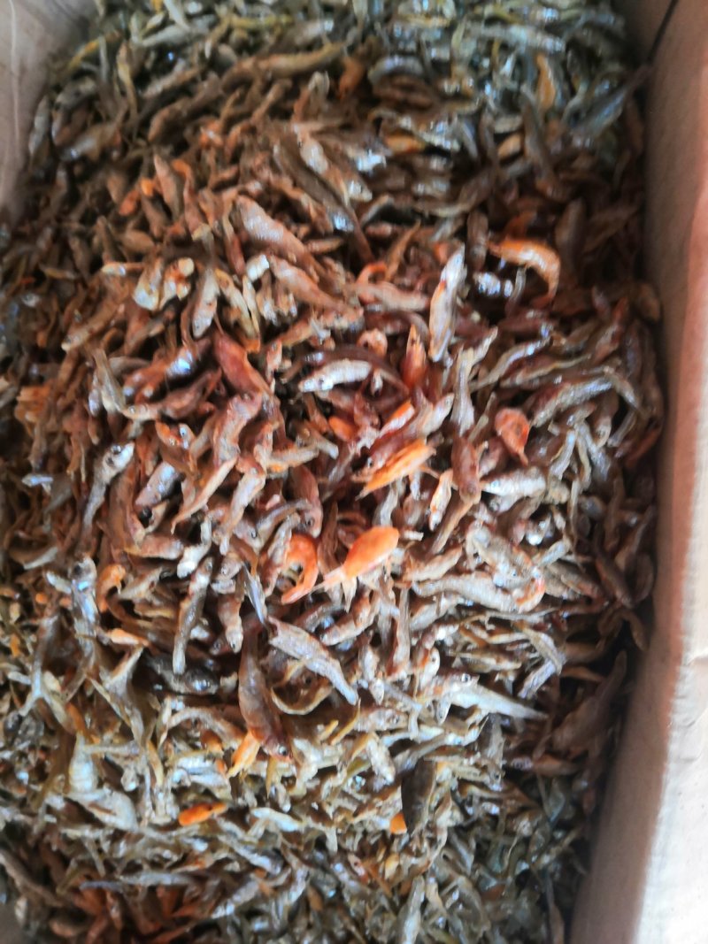 干麦穗鱼