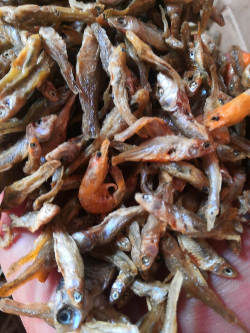 干麦穗鱼