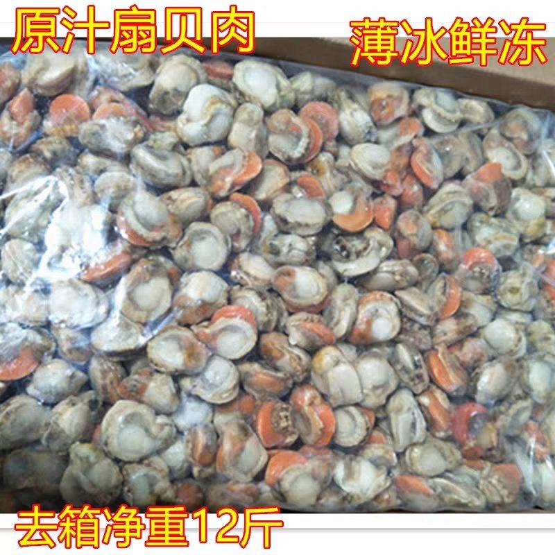 鲜活冷冻新鲜扇贝肉毛蛤肉扇贝超大极速发货去沙包不去沙包