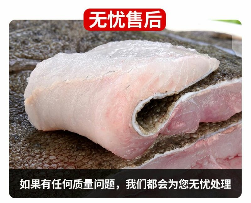 新鲜多宝鱼大菱鲆比目鱼浅海养殖急冻发货