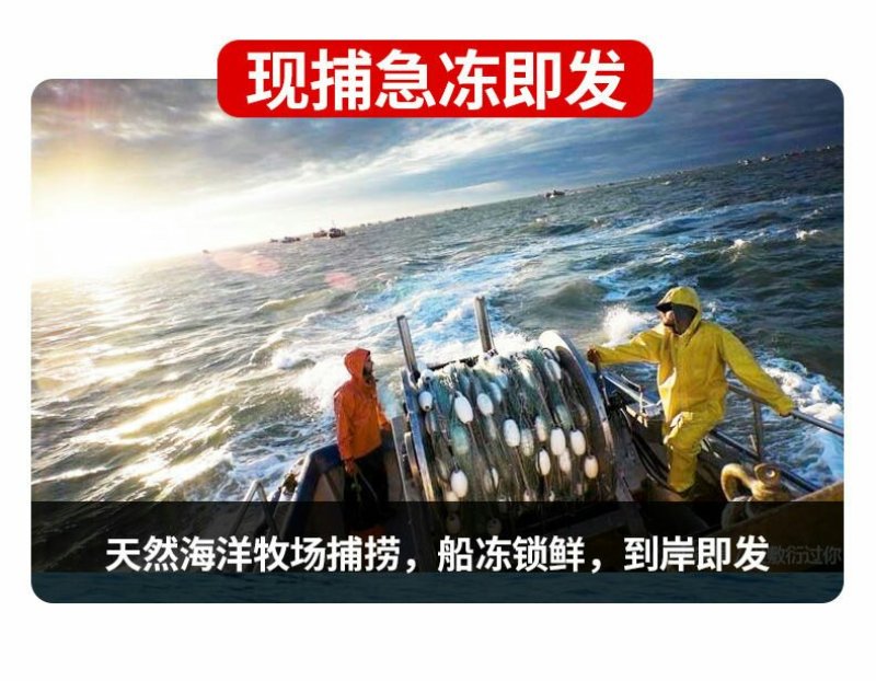 新鲜多宝鱼大菱鲆比目鱼浅海养殖急冻发货