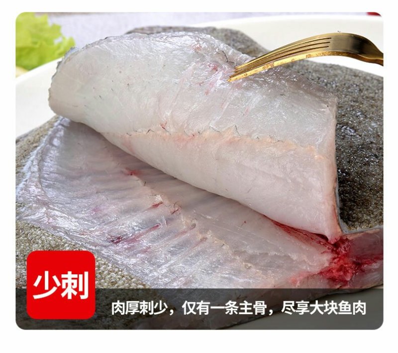 新鲜多宝鱼大菱鲆比目鱼浅海养殖急冻发货
