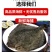 新鲜多宝鱼大菱鲆比目鱼浅海养殖急冻发货